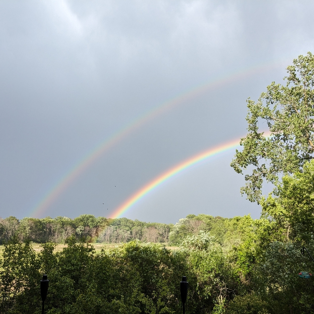 Meet your Posher, Tanya